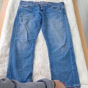 Pilcro Women's Straight Leg Blue Jeans